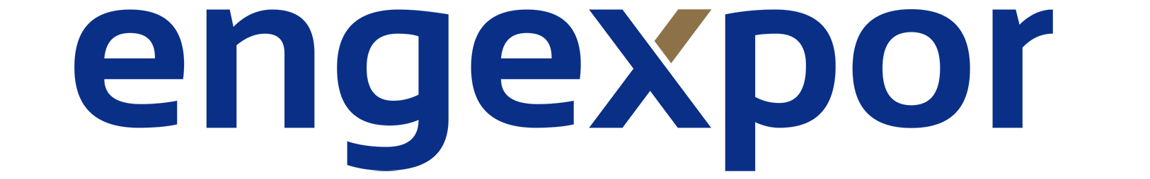 Engexpor Logo